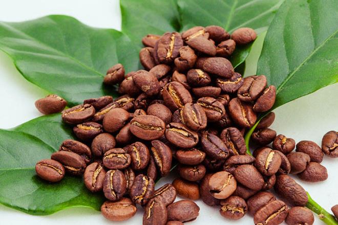 Peki kahve ilk kez nerede, nasl ortaya kt? Rivayete gre, kahve MS 9?uncu yzylda Etiyopyal bir kei oban tarafndan bulundu. Sz konusu oban srsndeki keilerin bir tr bitkinin (Coffea) meyvelerini yediinde ok hareketlendiini adeta dans etmeye baladn gzlemledi. Daha sonra bu bitkinin tketimi insanlar arasnda yaygnlamaya balad.