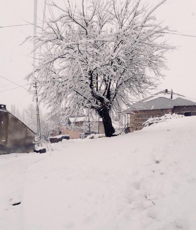 Belediyelerin sosyal medya hesaplar arasnda yapt kar paylamlar glmsetti. te o glmseten paylamlar
