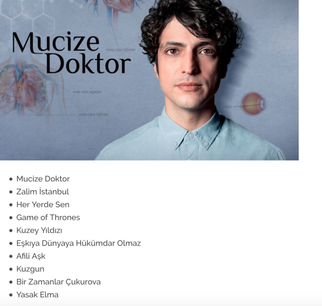 Trkiye'de 2019'da ykselen aramalar : Diziler