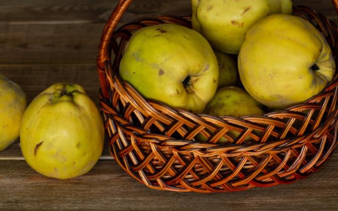 Yksek antioksidan sayesinde vcutta dolaan serbest radikalleri ve kanserli hcreleri azaltr.