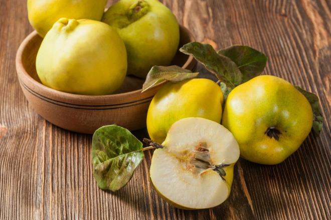 Ayva kan ierisindeki oksijeni arttrarak kan dolamnn artmasn salamaktadr. Bylece sa diplerine kadar giden salkl kan creleri salarn daha parlak ve gl olmasn destekler.