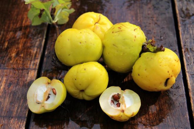 K aylarnn en sevilen lezzetlerinden biri olan ayvann insan salna olan faydalar saymakla bitmiyor. Uzmanlar, vcudun gn boyu daha din ve tok hissetmesi iin mutlaka mevsiminde her gn bir ayva tketilmesini tavsiye etmektedir. Uzmanlar bunun yan sra ayvann metal bakla kesilmemesi gerektii konusunda da uyaryor. te ayva hakknda bilinmeyen her ey...