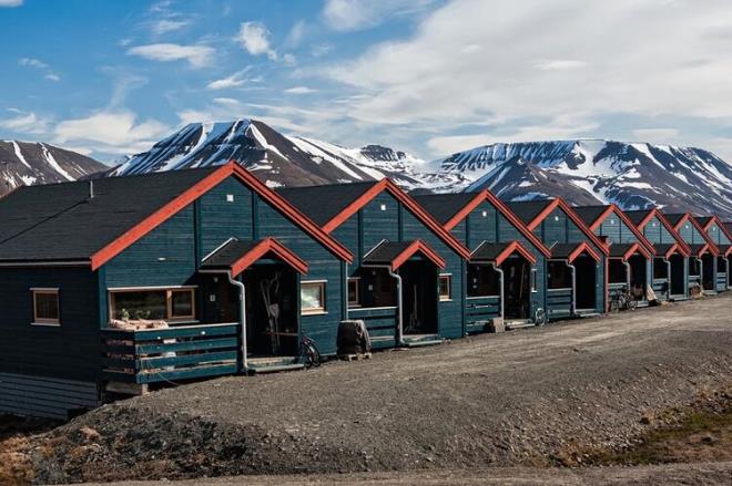 retmenler bu yzden srekli silah tayorlar. nk Longyarbyn 1500 insann yan sra, kutup aylarnn da memleketi. niversite birinci snfa balayan her renci, ilkretim gnnde, kutup aysnn nasl vurulup ldrleceini reniyor.