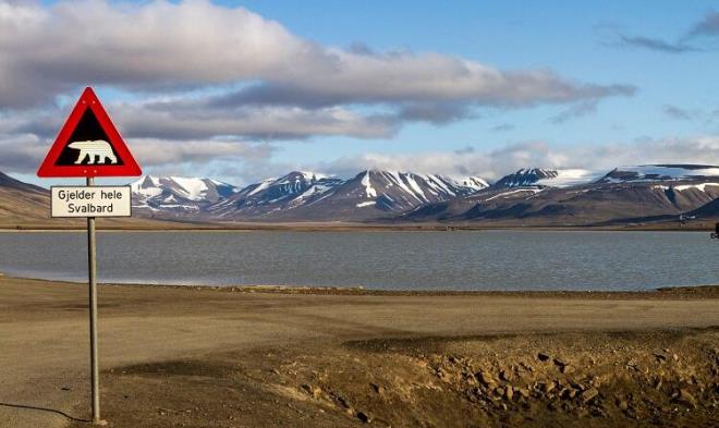 O durumda bile olay Svalbard valisine bildirmek gerekiyor. Ziyaretine gittiim, vali Per Sefland'n ofisinde ii doldurulmu koca bir kutup ays var. "Vallahi ben vurmadm" diyor. Vali tam tersine, bakent Oslo'da avukatlk yaparken, srf doal hayata dknl nedeniyle buraya tayinini istemi.