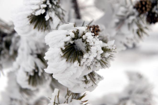 Pazartesi iin beklenen kuvvetli ya Trakya'dan balayarak havay soutacak. Rzgarn karayele dnmesi ile birlikte haftann ikinci yarsndan itibaren kuzey ve i kesimleri altna alacak.