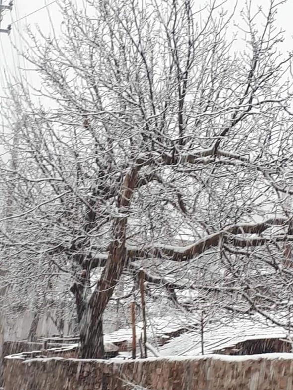 Kentte dn gece etkili olan saanak yamur, sabah saatlerinde yksek kesimlerde yerini kara brakt.