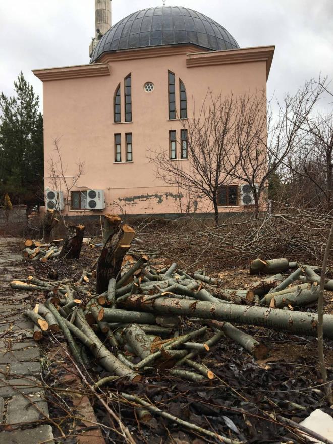 Tayin edildiini renen imamn yapt mahalleliyi akna evirdi    mam da kar imza toplam  <br>  mam Nurallah K.'nin de kar imza toplayp mftle verdiini belirten etin, "Ancak baka bir camiye tayini kt. O da aalar kesmi. Bazlarn paralayp, kamyonla gtrm. Birazn da brakm. Neden kestiini sorduumda, 'Muhtarm aalar elektrik tellerine deiyor' yantn verdi.