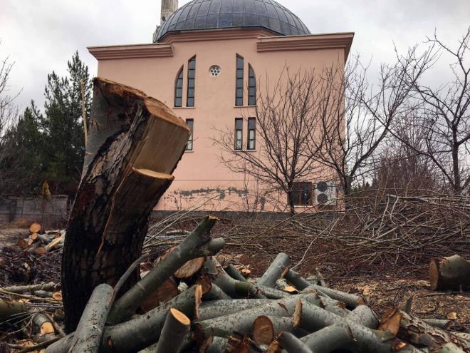 Cami cemaatinden Emrullah zden de ''Hocam, 'kendim diktim, kendim bitim' demi. 'Tellere dedi, kestim' demi. Bir geldik baktk ki birok aac kesip, bimi. Tayini ktktan sonra kesti.  Daha nce imam hakknda mftle ikayeti olduk. Cemaatiyle geinemiyordu" dedi.
