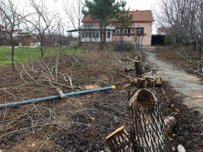 11 yldr Fatih Camii'nde grev yapan mam Nurullah K.'nin, 5 Aralk gn, Harmanck Mahallesi'nde bulunan Abdlgani Camii'ne tayini kt. ddialara gre, tayin edildiini renen Nurullah K. da cami bahesindeki 17 aac kesti. Kestii aalarn bazlarn da kamyona ykleyip, gtrd.