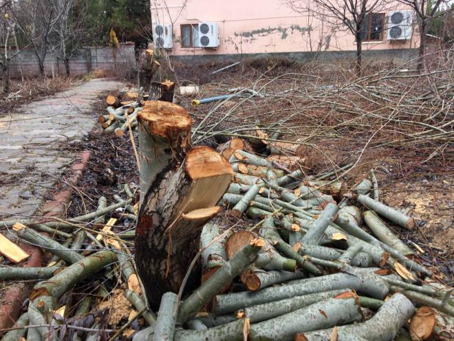 Art niyet iddias  <br>  Bunu daha nce yapsayd, belki yanl anlalmazd. Ancak tayini ktktan hemen sonra yapmas art niyetli olduunu gsteriyor. Art niyet var. Cemaatle geinemiyordu.