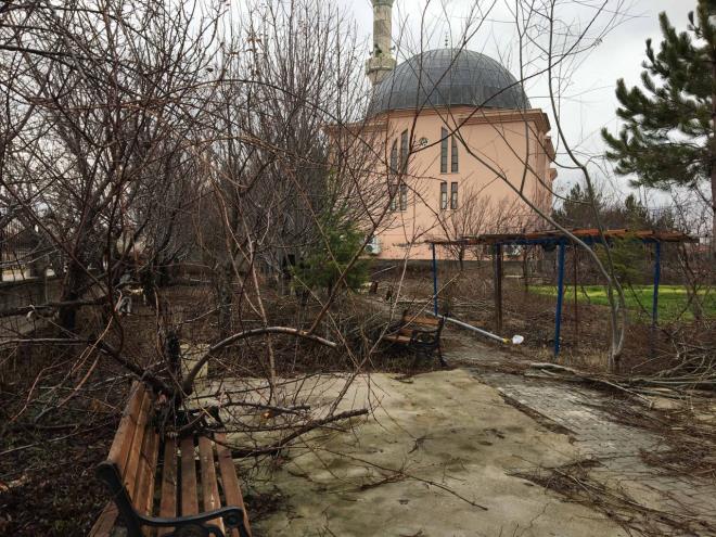 Sulamalar kabul etmeyen imam Nurullah K. ise sadece bir aac elektrik tellerine takld iin kestiini ne srd.