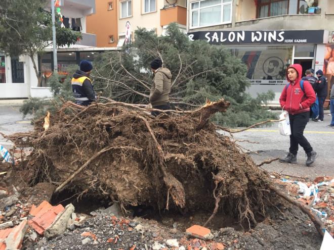 Alnan bilgiye gre, Site Mahallesi Atay Caddesi'nde iddetli rzgar, bir aac kknden skerek devirdi. Devrilen aa, park halindeki bir otomobilde hasara neden oldu.