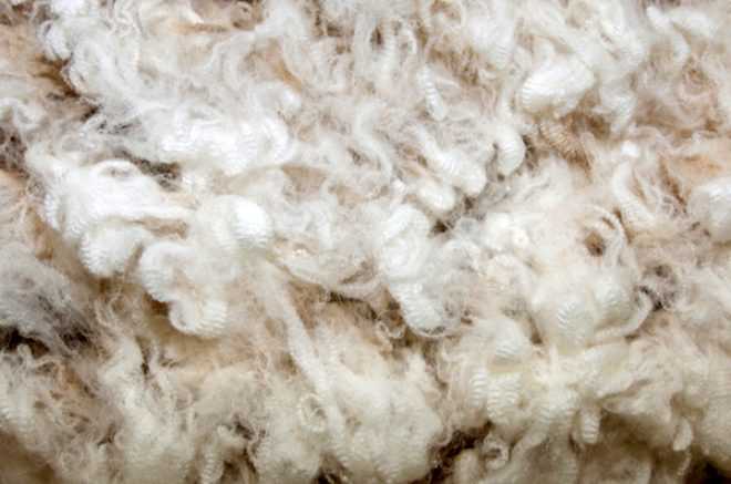 Yn fabrikasnn sahibi 800 yardlk ynn iine skarak ld..  <br>  1987 ylnda gerekleen bu kaza, Paul Thomas'n altrd makinenin yanllkla iine dmesiyle gerekleti. Polisin anlattna gre kaza baya hzl gereklemi...