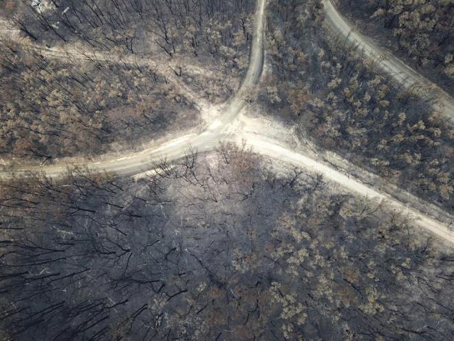 Nasa, stratosferdeki dumann kaynandan kilometrelerce uzaklaabileceini ifade ediyor.