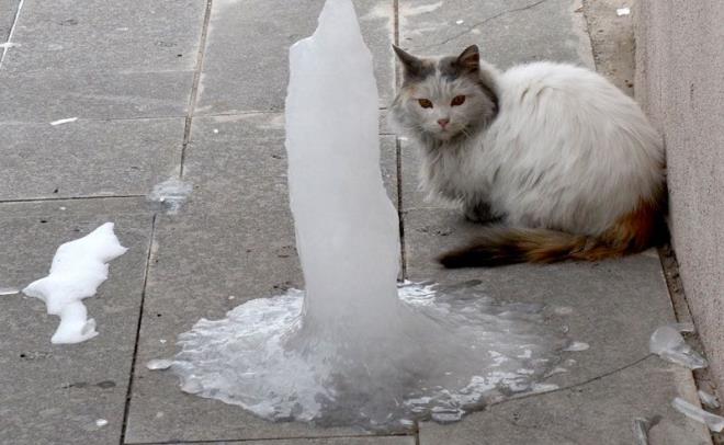 Dondurucu souklar: Trkiye'nin byk bir kesiminde ise dondurucu souklar etkili oluyor. Dou anadolu blgesinde hava scakl sfrn altnda eksi 24'leri grd. En dk hava scakl sfrn altnda olmak zere Ar'da 24, Kars'ta 21, Ardahan'da 16, Erzurum'da 15, Erzincan'da 8 ve Idr'da 6 derece lld. Yurdun gney ve bat kesimlerinde de hava scakl azalmaya devam edecek. Dnn 2 ile 4 derece arasnda olaca belirtildi.