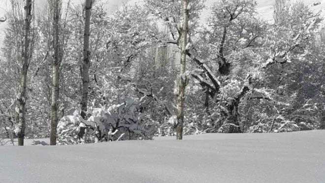 ok kr hibir skntmz yok bazen yollarmz kapanyor ama ksa srede alyor. Her yerde olduu gibi blgemizde de kn gzellii kardr. Berekettir. Ne kadar yaarsa o kadar iyidir" dedi.