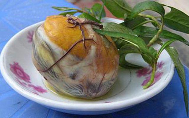 Halanm rdek embriyosu