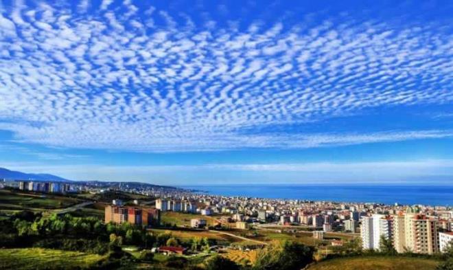 SAMSUN    Doum yeri: Samsun    stanbul'daki nfus: 279.391