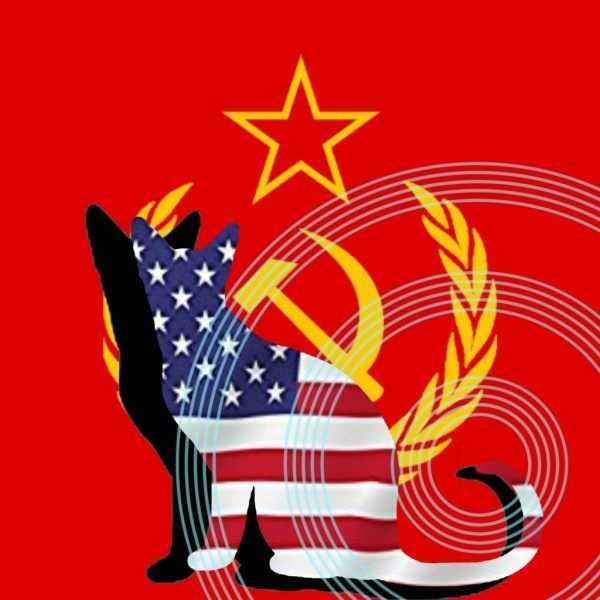 Bu proje iin ise ameliyatlar ve eitimler dahil toplamda 20 milyon dolar harcanm