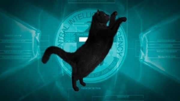 Projenin ie yaramamas hakknda ise kedilerin eitimin bir hayli uratrc olmas byk bir etken olarak grlyor