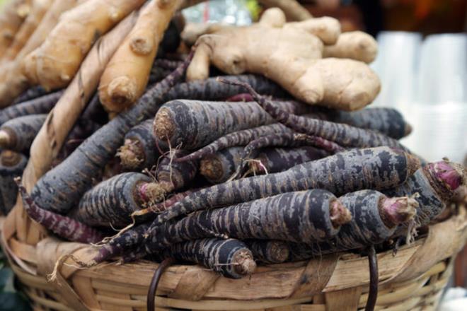 erisindeki vitamin- mineraller sayesinde gl antioksidan etki gsterir ve akcier kanseri riskini azaltr.