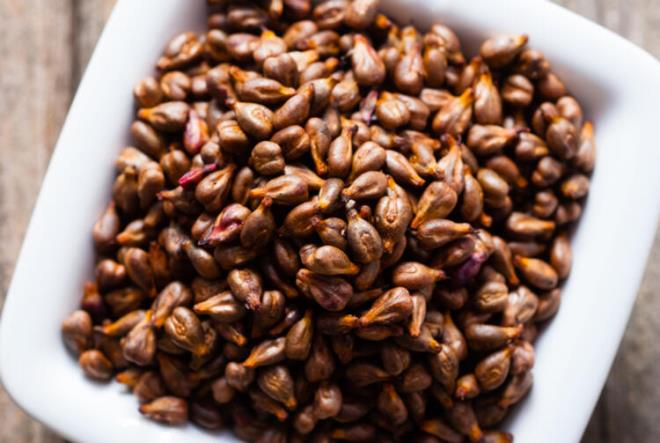 zellikle kanser kart olarak grev alr. zm, ekirdei ineyerek tketilmelidir.