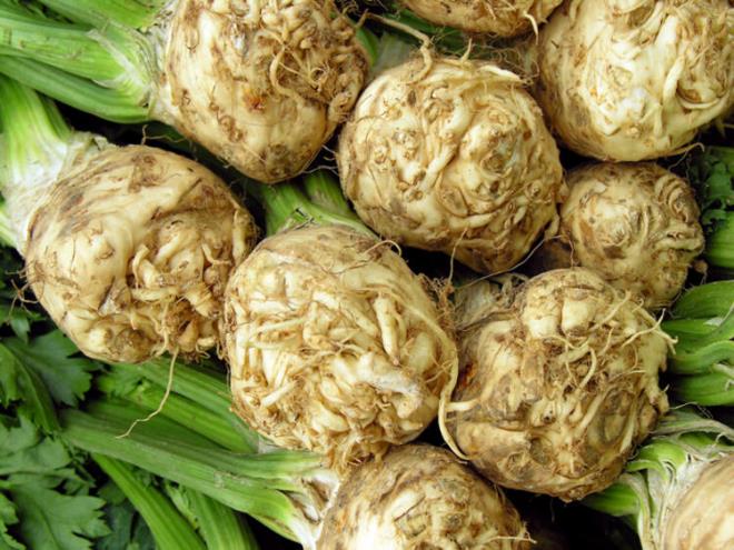 Kereviz<br>  Kansorejen maddelerin olumasna, akcierlerde oluabilecek hastalklara ve nitrozaminlere kar koruyucudur.