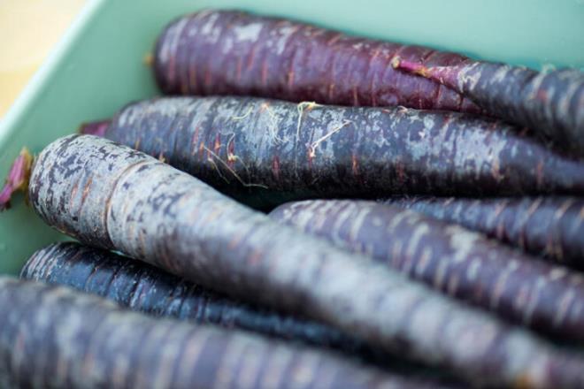 Siyah havu<br>  ksre iyi gelerek balgam sktrc rol oynar.