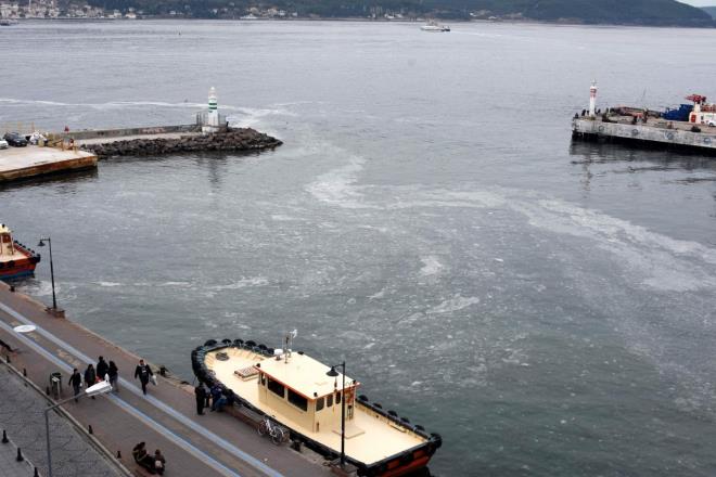 anakkale'de kordon boyunda yry yaparken denizde grd beyaz tabaka karsnda akna dnen Suat Eriken, "Ben daha nce hi grmedim. lk defa gryorum. ok da garip, doal bir ey olduunu da zannetmiyorum. Doada ekolojik bir eyler oluabilir ama bu grnt ok garip, denizin yzeyinde beyaz jelimsi bir tabaka olumu. Tabi ki bu konuyla ilgili yetkili birimler ne olduuna karar verecek" dedi.