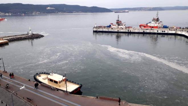 Laboratuvarda yaplacak incelemenin ardndan beyaz kpks ve jelimsi maddenin neden kaynakland tespit edilecek. Ancak ilk belirlemelere gre petrol trevi ya da kimyasal iermeyen tabakann doa artlarna bal olarak olutuu sanlyor. Balklarn yorumu ise hava scaklklarndaki ani deiim sonucunda denizanalarnn lerek eridii ve bu tabakann ortaya kt eklinde.