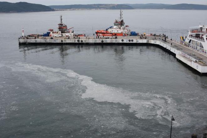 Byle bir tablonun anakkale Boaz'nda en youn olarak Kasm 2007 ile Eyll 2008 tarihleri aras yaand ifade edildi. Scaklklardaki ani deiimler ve yalar nedeniyle sisteme tatl su girdisi, oluumu etkileyen faktrler arasnda gsteriliyor. Jelimsi maddenin oluumuyla beraber, maddeye yapan organik ve inorganik paracklarn da kvam artrd ve hem balk alarna, hem de teknelerin, botlarn motor ve pompa sistemlerine zarar verdii belirtildi.