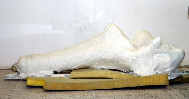 Blgenin yaps sert olduu iin ilk olarak kara topra kaldrmak iin kepe kullandk. Daha sonra biz burada file ait bir alt ene bulduk. 2 tane de st ene olabileceini dndmz defans diini bulduk. Kayseri ok zengin bir corafya. Hakikaten ok gzel rnekler bulduk" dedi.