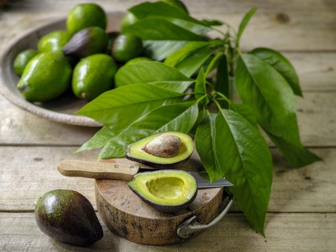 Avokado: erisindeki E vitamini ve salkl yalar sayesinde cildi nemlendirmeye yardmc olan avokado, ayn zamanda C vitamini sayesinde de cildin elastik yapsn koruyor. Antioksidan kapasitesi yksek olan bu vitaminler deri hcrelerindeki DNA hasarn da azaltabiliyor. Gne , sigara ve evre kirlilii ile ortaya kabilen serbest radikallere kar savaarak ciltteki zararl etkilerini azaltmaya yardmc oluyor.