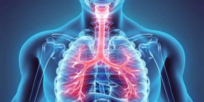 Aksu, "Melatonin hormonunun salnabilmesi ve dier hcreler zerine etkisinin grlmesi iin karanlk ortam arttr. Eer k varsa ya da tablet, telefon, bilgisayar ve televizyon ekranlarndan yansyan mavi a maruz kalrsak, beyin mavi  gn  olarak alglad iin melatonin salnm kesilir ve uykumuz blnr." dedi.