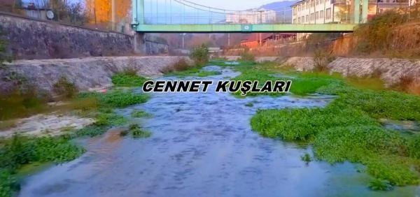 Kemal Sunal'n olu, Ali Sunal ise kendilerinin byle bir amcas olmadn ve film ekmek gibi bir projelerinin olmadn ifade etti.