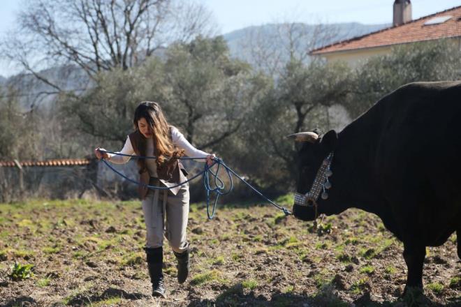 Ttnc, sosyal medyada da kendisini ok ciddi ekilde destekleyen takipileri olduunu belirterek, unlar kaydetti: