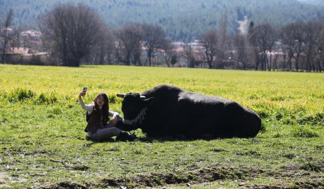 ifti bir ailenin ocuu olan ve "Hanmaa" olarak anlan Ttnc, AA muhabirine, yllardr birebir ilgilendii ve en byk hobisi olarak tanmlad boalarla ilgili iini anlatt.