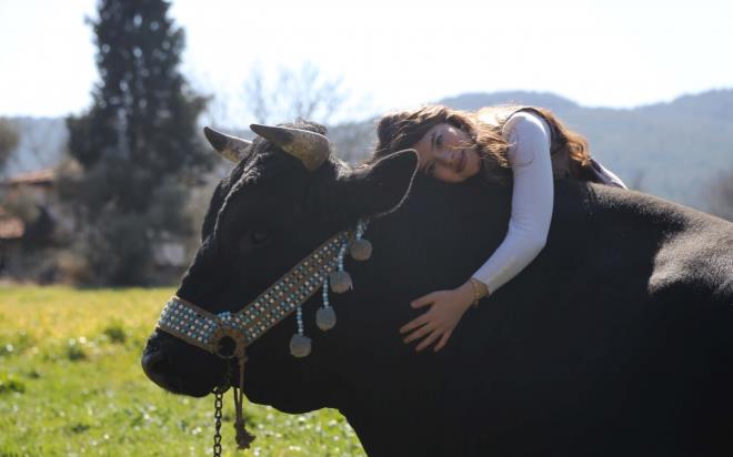 Boa yetitiriciliine ok kk yalarda baladn belirten Ttnc, "Mula Gazi Anadolu Lisesi son snf rencisiyim. 17 yandaym. lk sahaya ktmda 7 yandaydm. Kendimi bildim bileli boa yetitiriyorum ve babaannemle birlikte boa gretiriyorum. Babaannem Trkiye'nin ilk kadn boa greilerinden biri. Ondan gelen bir merakm var." dedi.