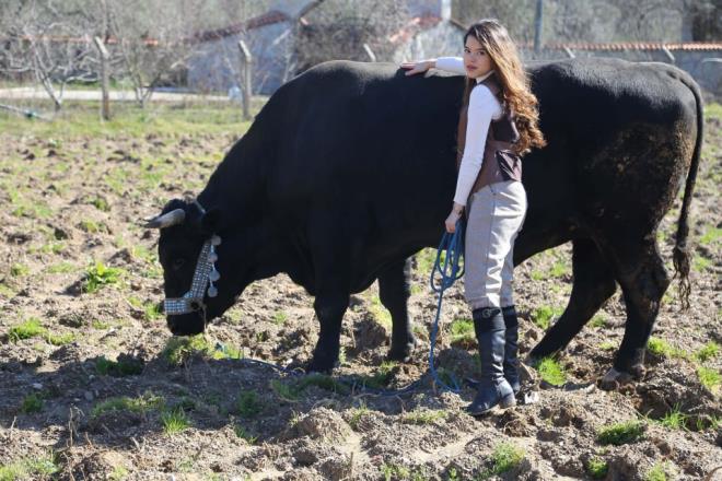 Ttnc, bu sene Mula'da ok gzel bir arena yaplacan, halen yetitirmekte olduu Karahan' da ampiyonlua tamak istediini vurgulad.