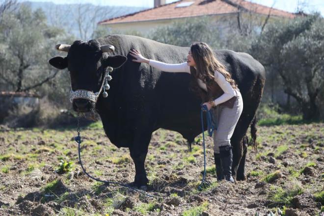 "Toprakla uramak erdem kazandryor"<br>    15'inci Uluslararas Tarm ve Hayvanclk Fuar'nda (AGROEXPO), Tarm ve Orman Bakan Bekir Pakdemirli'den "Trkiye Gen Yetitiriciler" temsilcisi olarak dl aldn anmsatan Ttnc, bundan dolay gurur duyduunu syledi.