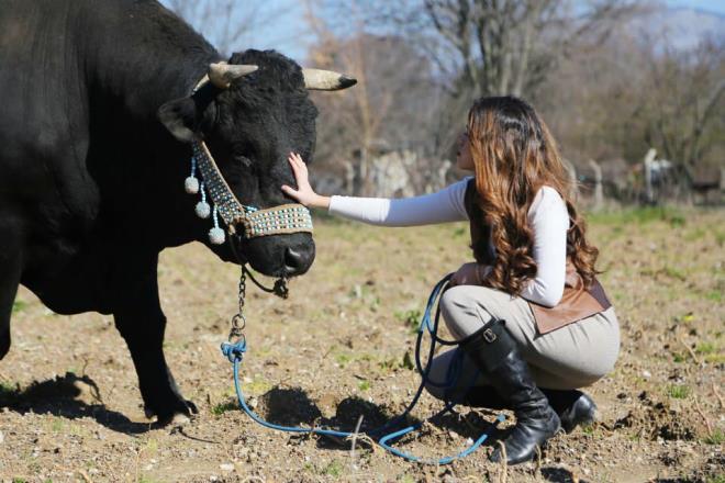 Daha nce bir takipim bana, 'Aleyna Hanm, ben besiciyim ama bu nedenle kymde kimse bana kz vermiyor, iimden dolay kimse benimle evlenmek istemiyor.' dedi.