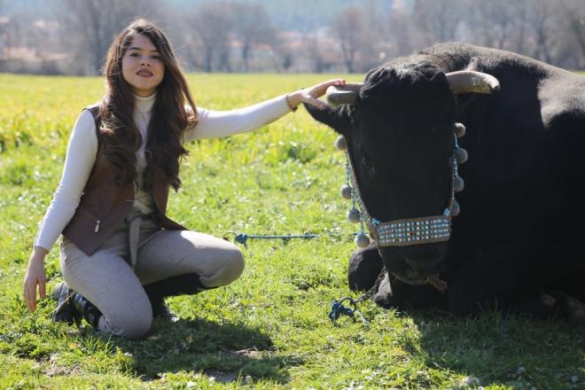 "Arenada mutlu oluyorum"  <br>  Ttnc, boalarla ok zel bir ba olduuna dikkati ekerek, yle konutu:<br>    "Yeri geliyor sanki bebeim gibi, yeri geliyor sanki sevgilim gibi oluyor. Bu ba ok gl. Her sabah scack yatamdan kalkp soukta, amurda onu beslemek iin geliyorum. Arenada bu emeklerimin karln alnca ok mutlu oluyorum.