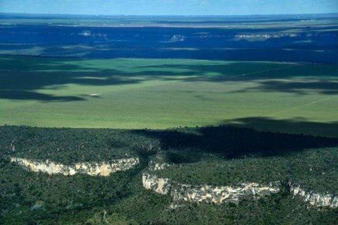 Dier taraftan uzmanlar, tundra ve savana blgelerindeki (benzersiz biyolojik eitlilik ieren geni, ak alanlar) dramatik deiikliklerin kresel karbon dengesini ve iklim sistemini deitirebileceini sylyor. nk odunsu bitkiler karbon depoluyor, yangn riski artryor ve Gne&#8217;in scaklnn ne kadarnn uzaya geri yanstldn etkiliyor. Ayrca, uzmanlar daha fazla odunsu bitkinin tundradaki karibu ve savandaki filler de dahil olmak zere eitli trlere ev sahiplii yapan alanlarn benzersiz biyoeitliliini etkileyebilecei uyarsnda da bulunuyor.
