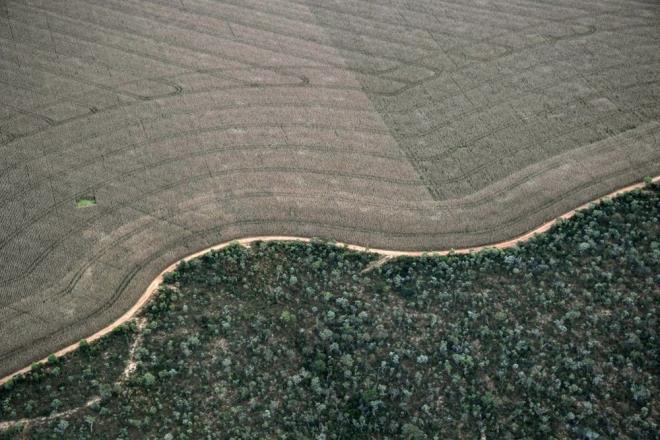 ngiltere&#8217;de Edinburgh niversitesi tarafndan yaplan ve sonular Kresel Ekoloji ve Biyocorafya dergisinde yaymlanan yeni bir aratrmaya gre, iklim deiiklii Kuzey Kutup Dairesi de dahil olmak zere dnyann normalde orak olan blgelerinde aalarn ve bitkilerin kk salmasna neden oluyor.
