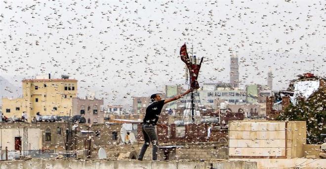 ekirge istilas alk korkusunu hortlatt  <br>ekirge istilas tarm alanlarn tehdit ediyor Dou Afrika&#8217;da son 70 yln en byk l ekirgesi istilas gerekleti. ekirge istilas, Afrika&#8217;da baladktan sonra yaylm gsterdi ve dnya gndemine girdi. stilac ekirgeler son olarak ran ve Irak&#8217;ta ortaya kt. Hakkari Yksekova'da da ekirge srleri grld. Uzmanlar, gmen ekirge srlerinin her gn on binlerce insanla ayn miktarda gda tketebileceini ve bylece retimi, gda gvenliini ve milyonlarca canlnn hayatn tehlikeye atabileceini sylyor