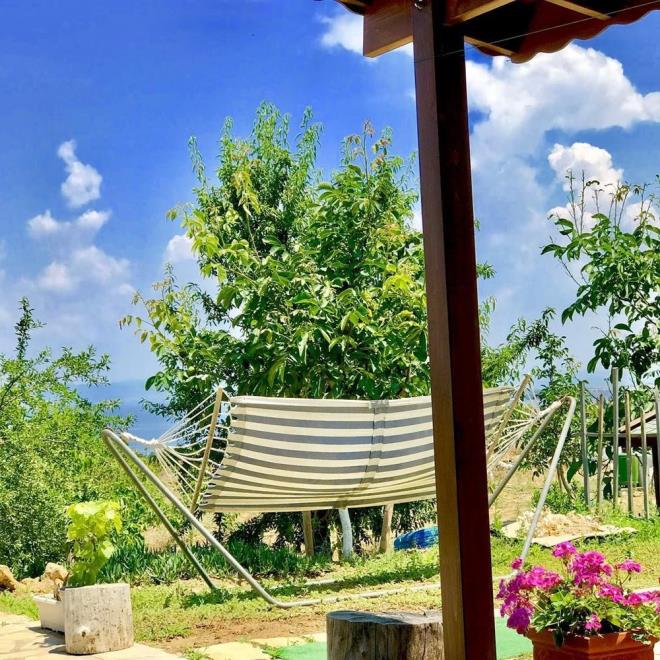 Hakk, "Ne kadar urarsan ura, varacan nokta toprakta bir para olmak? O yzden piman olmayacanz, keyif aldnz eyler yapmanz gerekiyor" ifadelerini kullanmt.