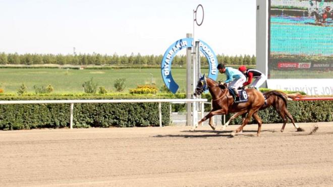 At yar bayilerine para cezas uygulanacak<br>    Trkiye Jokey Kulb tarafndan dzenlenen At Yarlar ertelendi.    hbar ya da tespit halinde at yar bayiileri ak olmas halinde, Zabta tarafndan para cezas uygulanacak.
