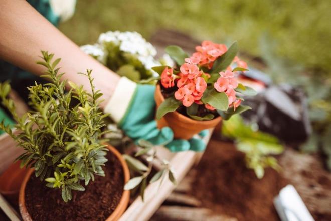 7- Ev iinde hareketli olmaya gayret ediniz ve yeni hobiler ile uranz.