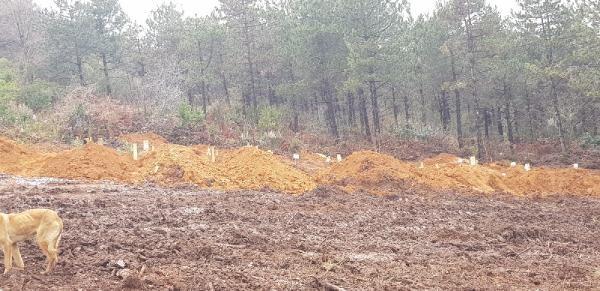 Mezarlara tepki gsteren vatanda, ?ki gn nce burada gmler yaplmaya baland. ki gn nce 14, dn 10 tane. u anda da ak mezarlar var. Buras merkezi bir yer. 500 metre ilerimizde zel kolej var. Ana cadde, mahallenin ii buras? dedi.