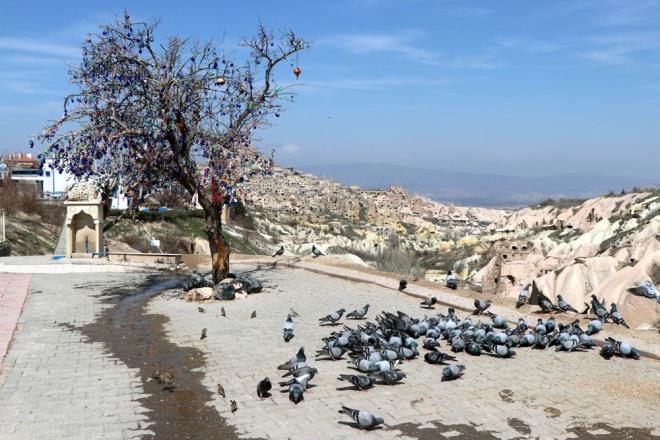 Corona virs salgn nedeniyle dnyann eitli lkelerinden Kapadokya blgesini Nisan, Mays ve Haziran aynda ziyarete gelecek olan yerli ve yabanc turistler rezervasyonlarn iptal etti.
